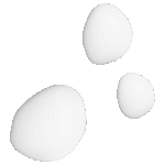 ERBORIAN SKIN THERAPY SÉRUM 30ml - Imagen 2