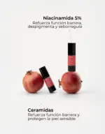 SEGLE COFRE RUTINA DESPIGMENTANTE - Imagen 2